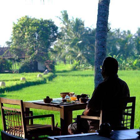 Mathis Retreat Ubud Εξωτερικό φωτογραφία