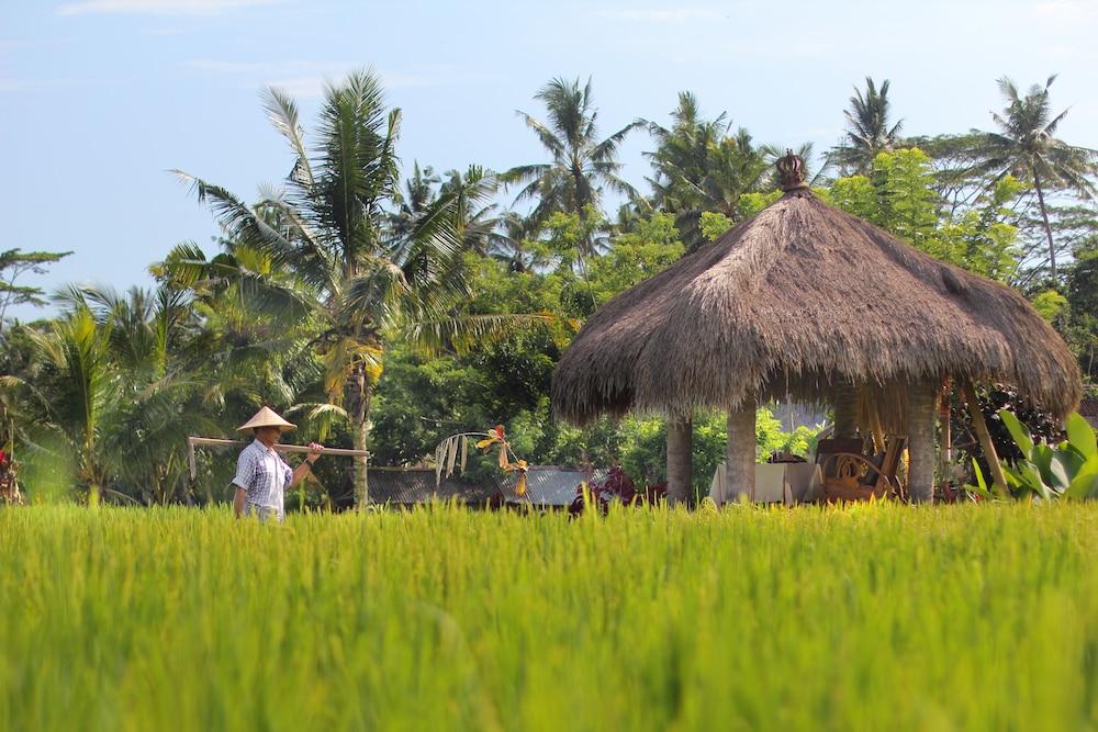 Mathis Retreat Ubud Εξωτερικό φωτογραφία