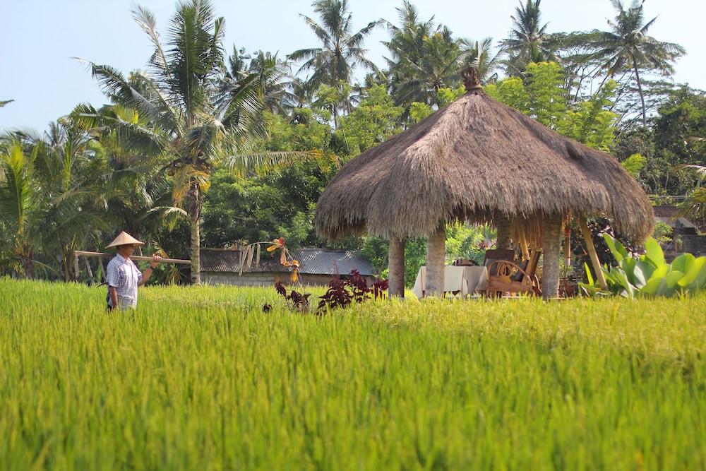 Mathis Retreat Ubud Εξωτερικό φωτογραφία
