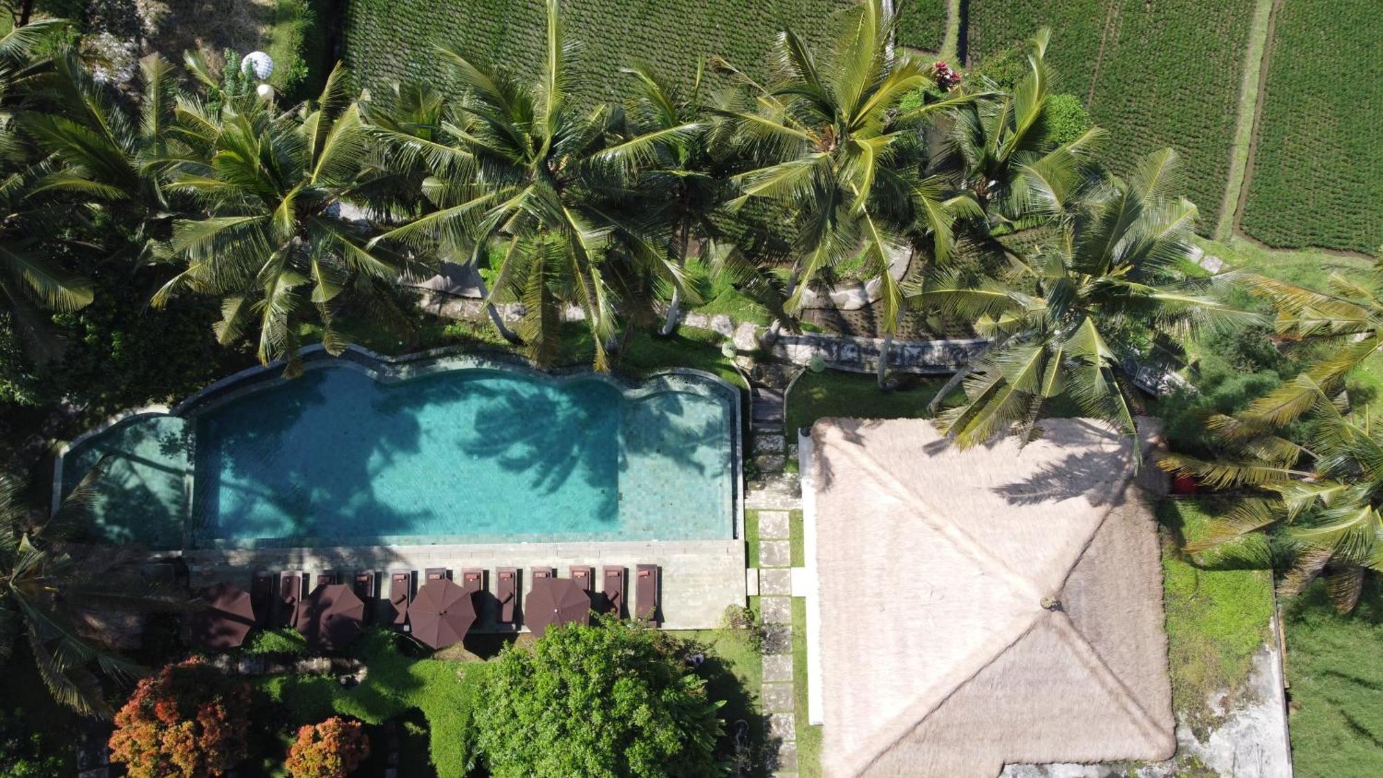 Mathis Retreat Ubud Εξωτερικό φωτογραφία