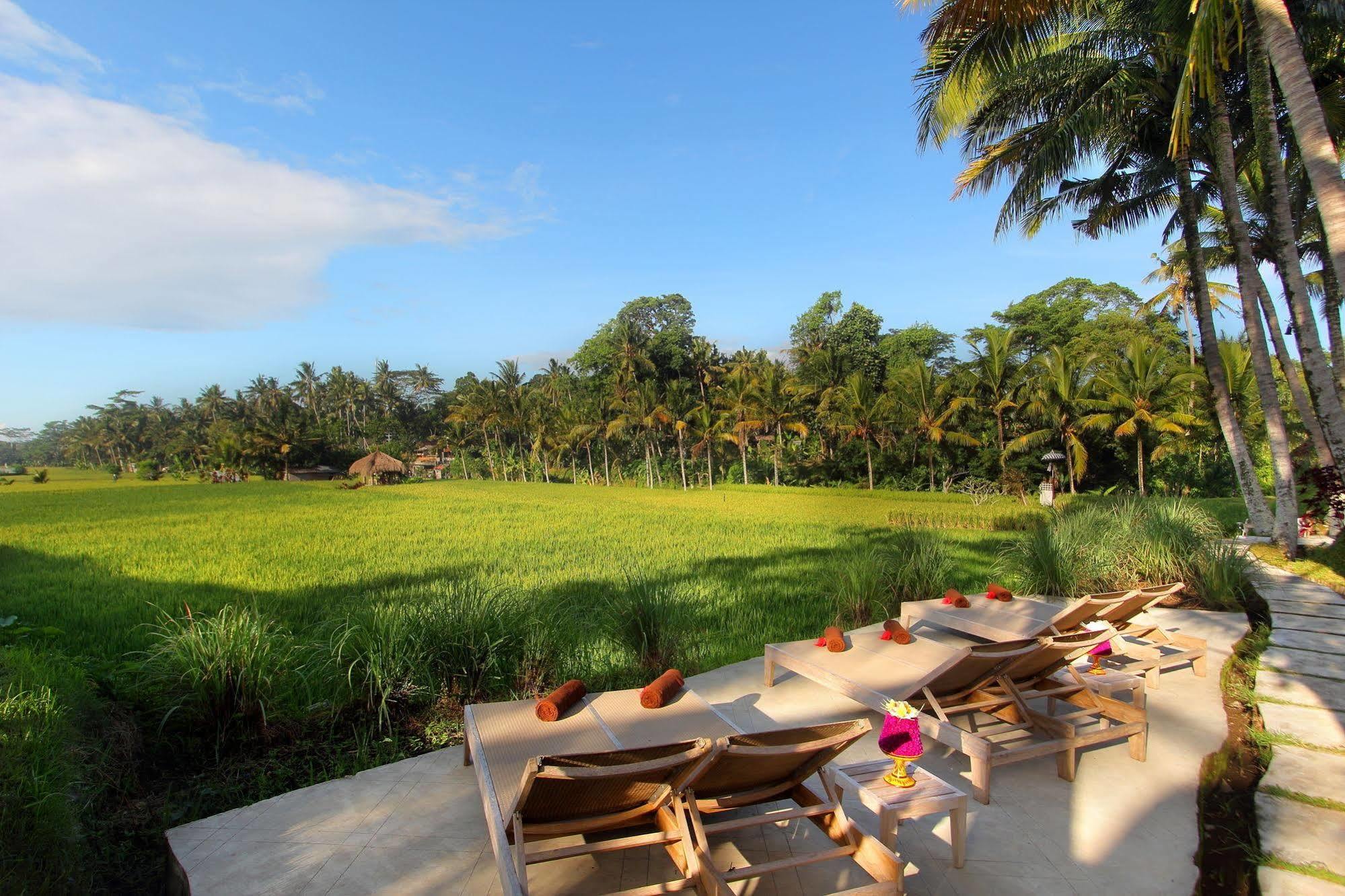 Mathis Retreat Ubud Εξωτερικό φωτογραφία