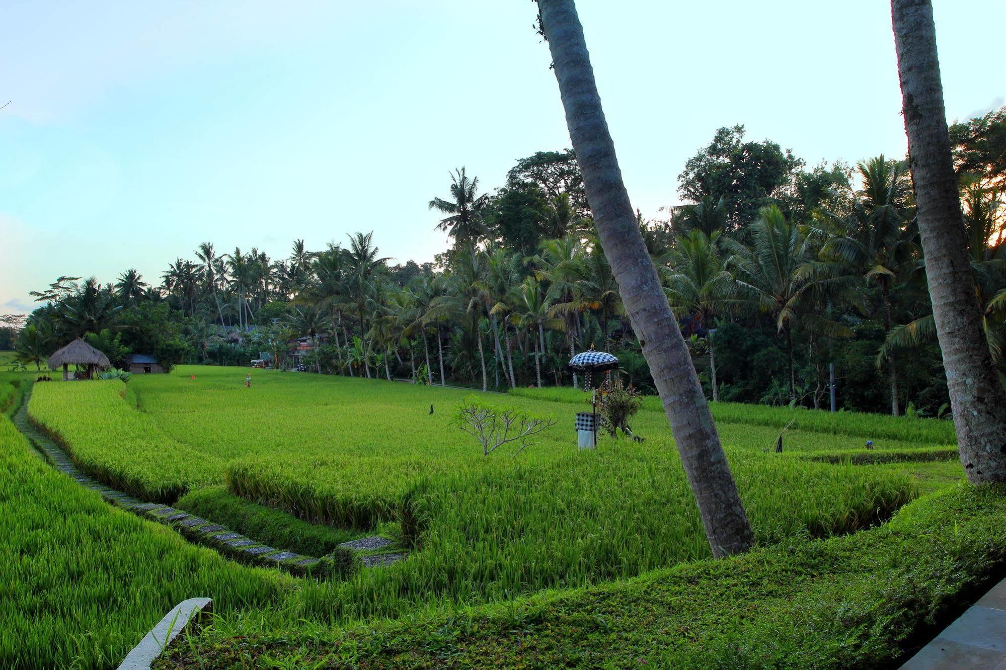 Mathis Retreat Ubud Εξωτερικό φωτογραφία