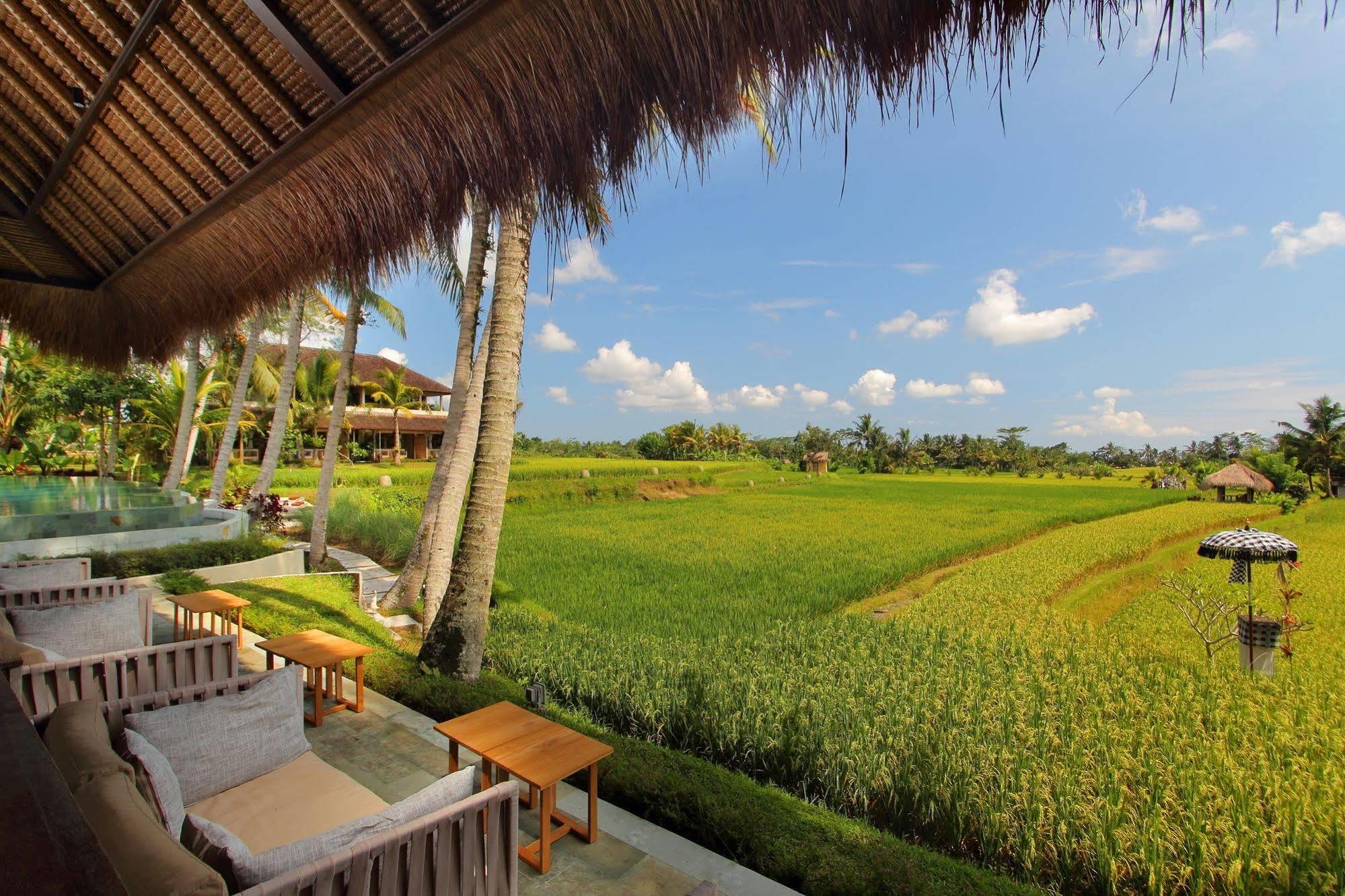 Mathis Retreat Ubud Εξωτερικό φωτογραφία
