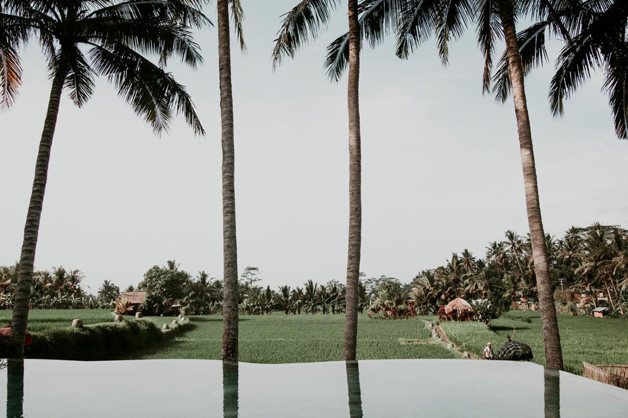 Mathis Retreat Ubud Εξωτερικό φωτογραφία