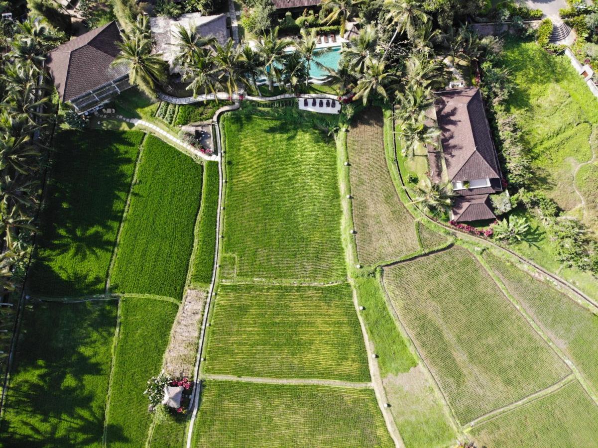 Mathis Retreat Ubud Εξωτερικό φωτογραφία
