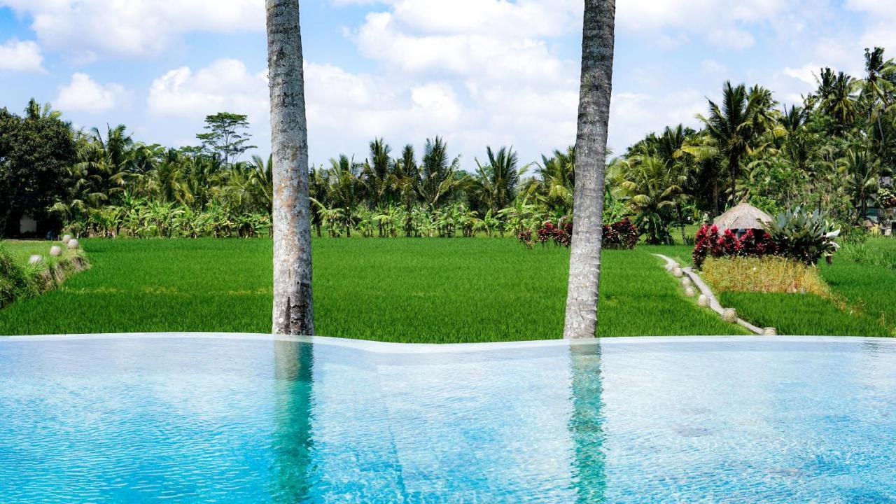 Mathis Retreat Ubud Εξωτερικό φωτογραφία